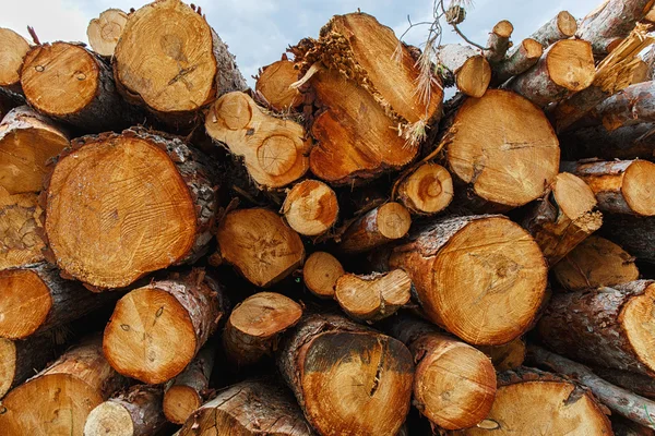 Wooden logs background