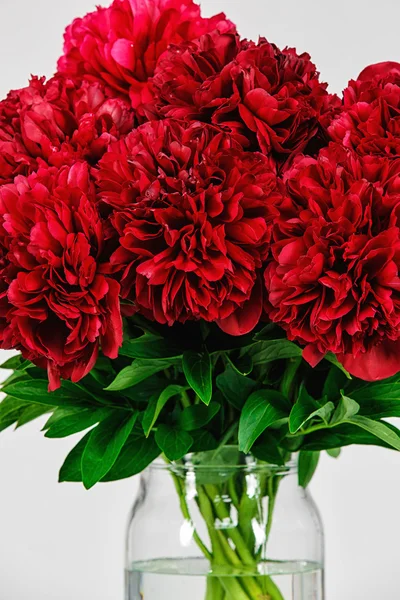 Peonies in a glass vase with water — Stock Photo, Image