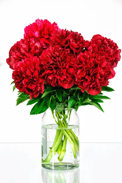 Peonies in a glass vase with water — Stock Photo, Image