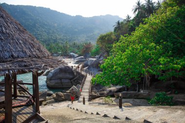 Sahildeki ahşap kulübe.