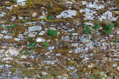 eski dokulu duvar arka plan