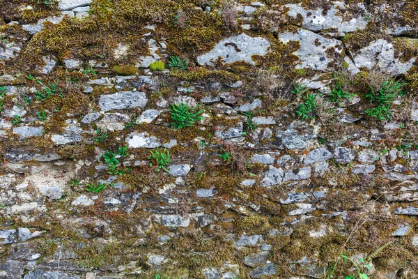 Oude getextureerde muur achtergrond — Stockfoto