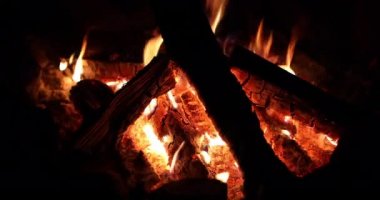 Ormandaki kamp ateşinde gece ateşi.