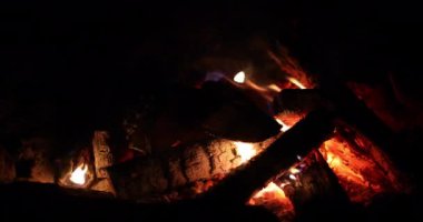 Ormandaki kamp ateşinde gece ateşi.