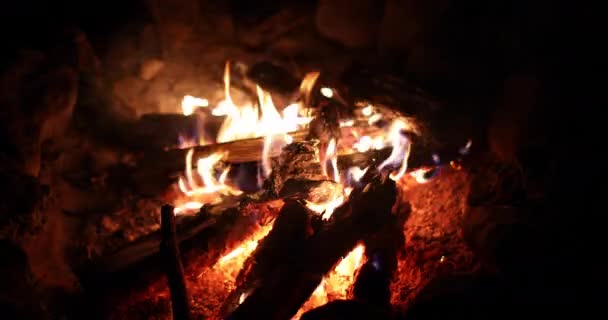 Night bonfire at a camping in the forest. — Stock Video