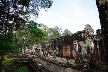 Kamboçyalı tapınak kalıntıları