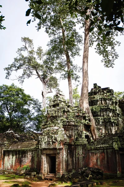 Камбоджійська храму руїни — стокове фото