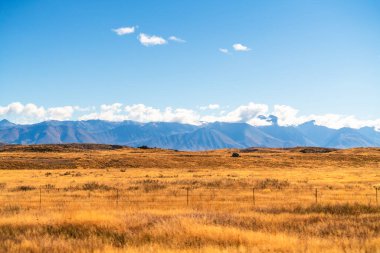 Yeni Zelanda 'nın güneyindeki yol kenarı boyunca uzanan altın çimenler ve açık mavi gökyüzü manzaralı yol kenarı turu, turistlerin Yeni Zelanda' da seyahat etmeleri için iyi bir deneyim..