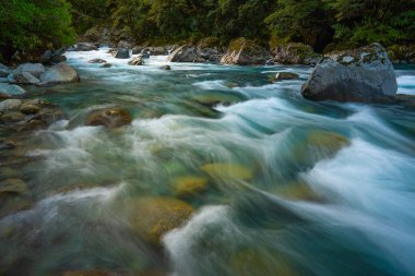 Falls Creek Su Gölü 'nün güzel manzarası Milford Sound Otoyolu boyunca dökülüyor, Fiordland Ulusal Parkı 9679, Yeni Zelanda.