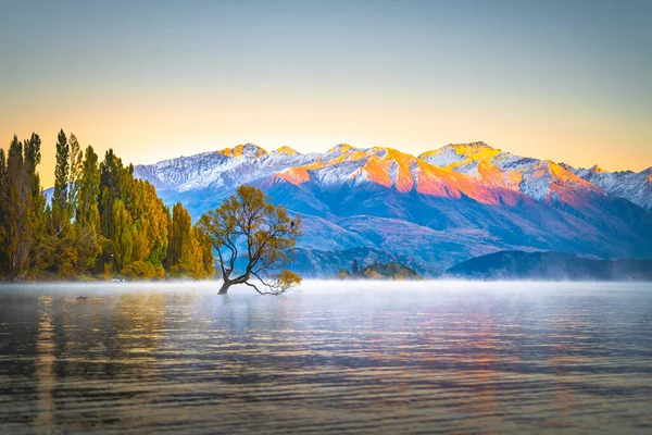 Wanaka Gölü 'nün huzur dolu manzarası, plaklardan biri.