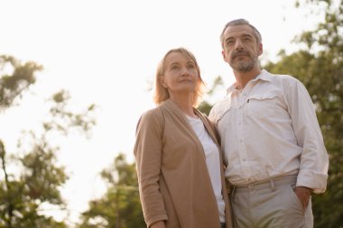 Üst düzey beyaz çift fotokopi odası ve öğleden sonra güneşiyle parkta mutlu bir emeklilik hayatı yaşamaya karar veriyor. Mutlu bir emekli eş, iyi yönetilen bir emeklilik hayatı..