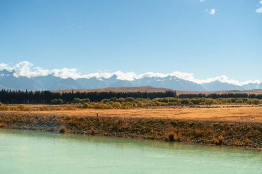 Yeni Zelanda 'nın güneyindeki yol kenarı boyunca uzanan altın çimenler ve açık mavi gökyüzü manzaralı yol kenarı turu, turistlerin Yeni Zelanda' da seyahat etmeleri için iyi bir deneyim..