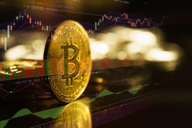 Yansıma ve kopyalama alanı ile Altın Bitcoin 'i kapat, Seçici odaklı.