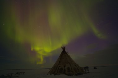 Arktik Rusya. Arctic