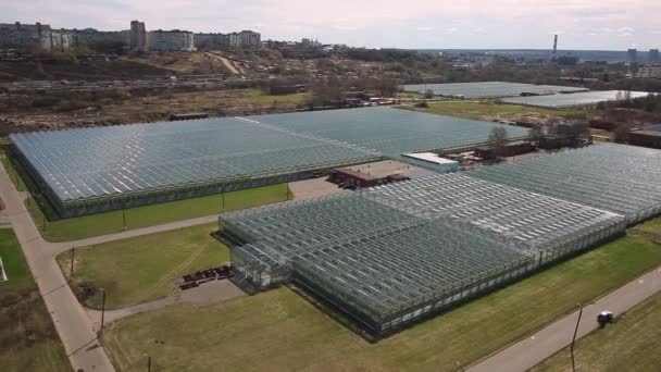 Horticultura e industria de invernadero — Vídeo de stock