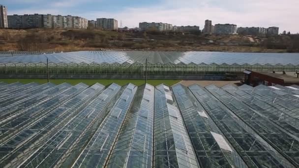 大型工业温室的屋顶 — 图库视频影像