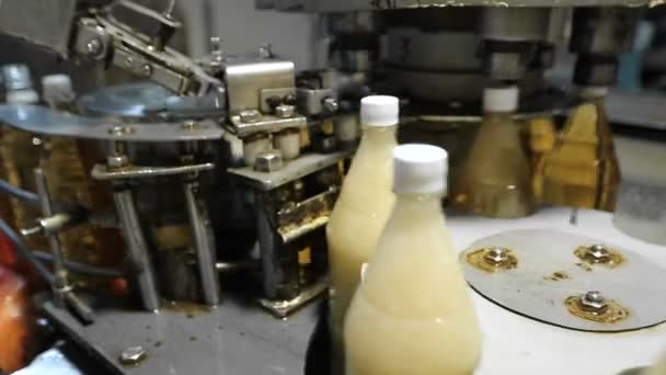 Equipamento para o fabrico de bebidas — Vídeo de Stock