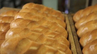 Kırmızı taze pişmiş ekmek