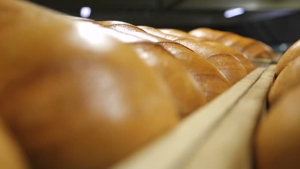 Rostiges frisch gebackenes Brot Nahaufnahme — Stockvideo