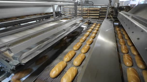Производство хлеба на заводе — стоковое видео