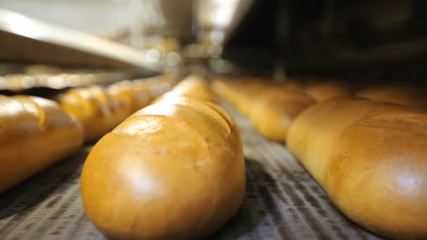 Хлеб в хлебопекарной машине на заводе — стоковое видео