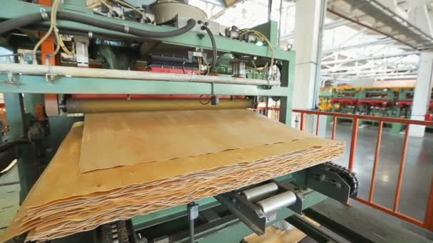 Utrustning för tillverkning av plywood — Stockvideo