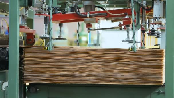 Tecnología de producción de madera contrachapada — Vídeos de Stock