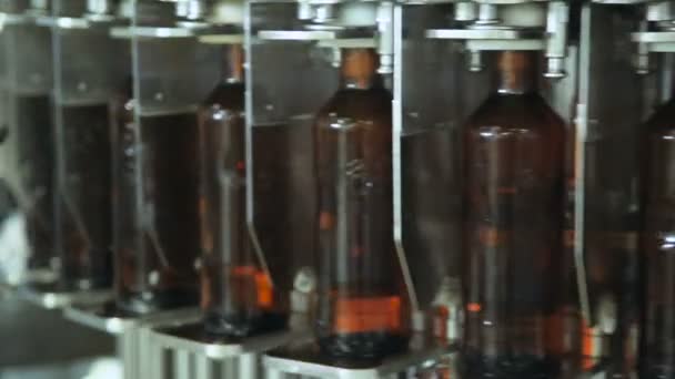 Otomatik bira şişeleme — Stok video