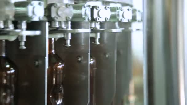 Ligne pour remplir la bière dans des bouteilles en verre — Video