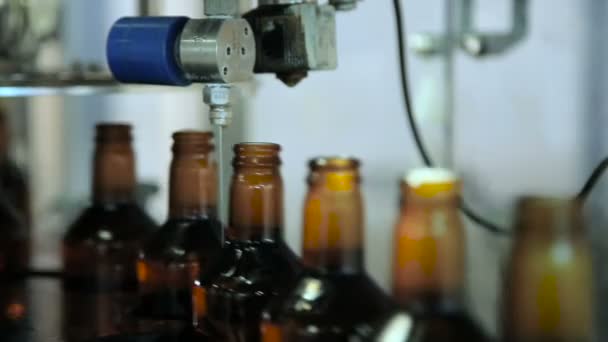Виробництво напоїв у скляних пляшках — стокове відео