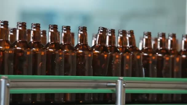 Dark glass bottles on the conveyor — Stock Video