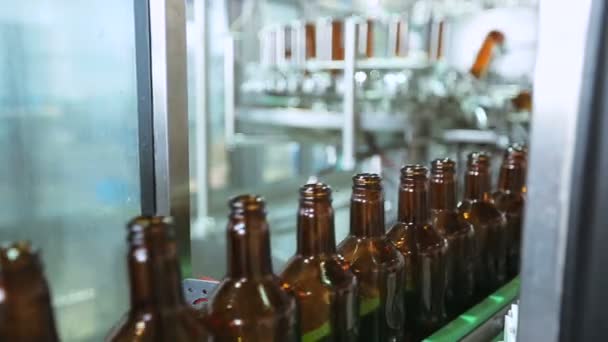 Proceso tecnológico de producción de cerveza — Vídeo de stock