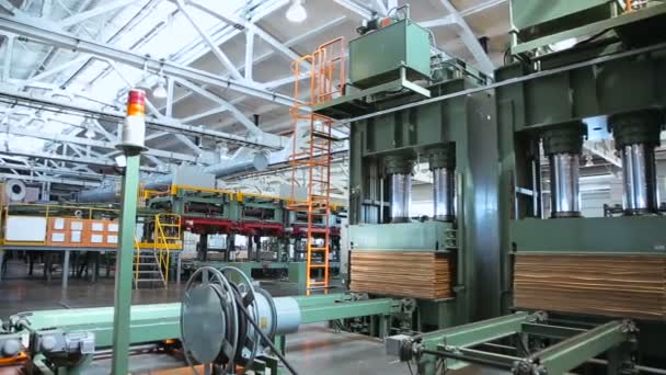 Plywood mill. plywood production — Stock Video