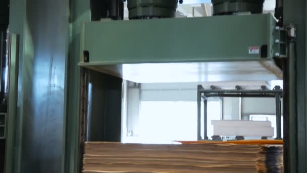 Utrustning för plywood pressning — Stockvideo