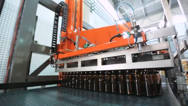 啤酒生产过程自动化 — 图库视频影像