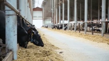 Tarım ve hayvancılık ile