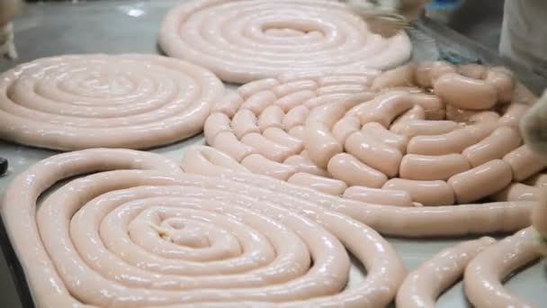 Production of wieners and sausages — Stock Video