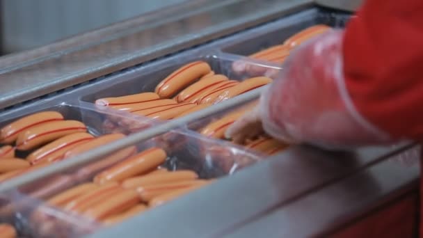 Produção e embalagem de salsichas — Vídeo de Stock
