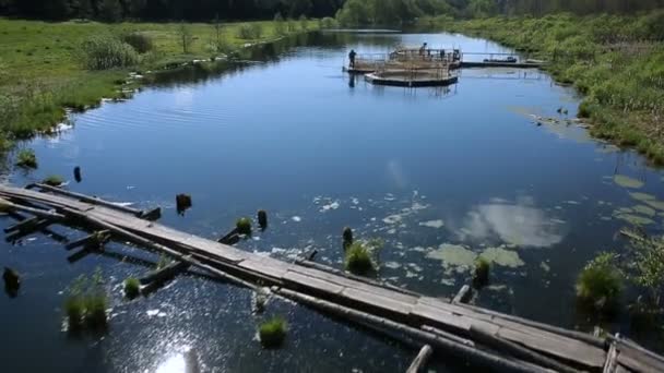 Forel vissen boerderij op de rivier — Stockvideo