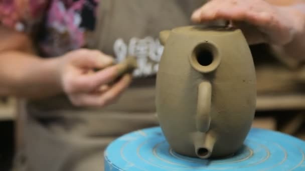 Craftsman makes pottery — Stock Video