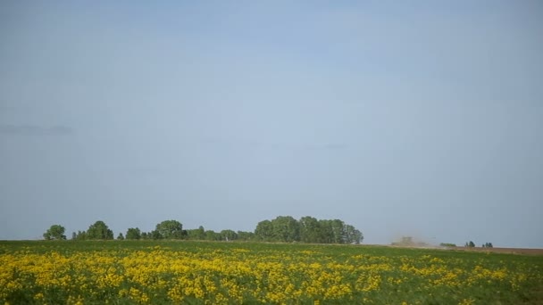 Tractor arando un campo en el fondo de hermosos prados — Vídeos de Stock