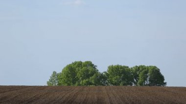 arka plan çalılar ve mavi gökyüzü sürülmüş karada