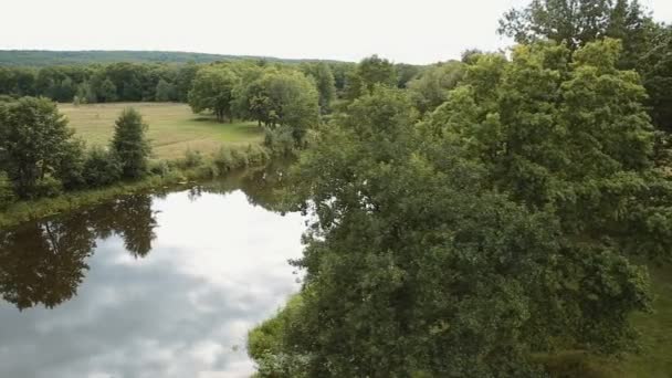 Летящий квадрокоптер над рекой. красивый летний пейзаж — стоковое видео