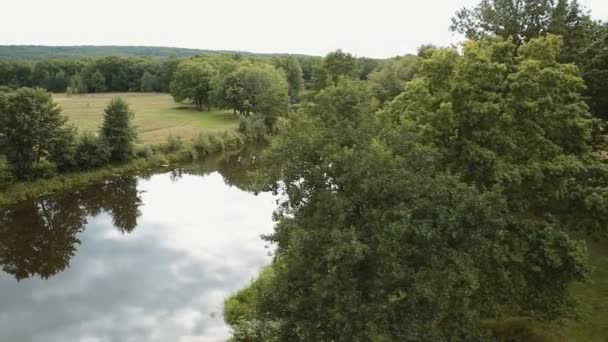 Quadcopter volant au-dessus de la rivière. beau paysage d'été — Video