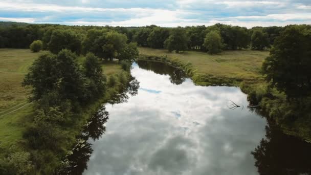 Красивий мальовничий пейзаж, річка, зелений ліс — стокове відео