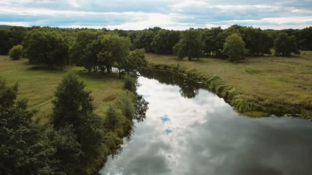 Красивый летний пейзаж, река и зеленый лес вокруг — стоковое видео