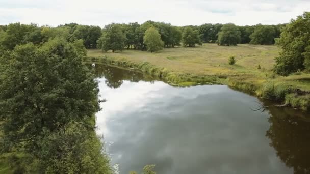 Река и зеленый лес вокруг летом — стоковое видео