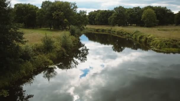 survolant l'eau. rivière et forêt verte autour 