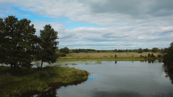 Sobrevolando el río cerca de la orilla — Vídeo de stock