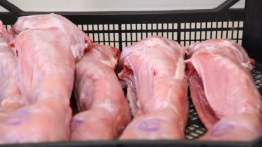 çiftlik taze Tavşan eti